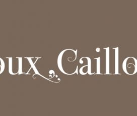 Bijoux Cailloux